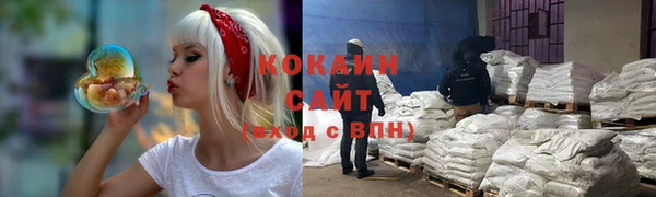 тгк Бронницы