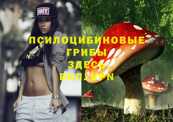 альфа пвп Бугульма