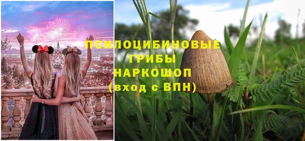 тгк Бронницы
