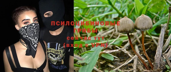 альфа пвп Бугульма