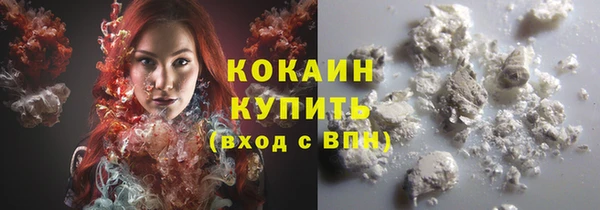 тгк Бронницы