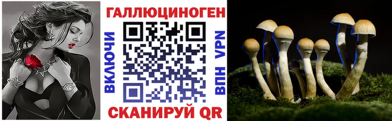 наркошоп  даркнет как зайти  Галлюциногенные грибы MAGIC MUSHROOMS  Воронеж 